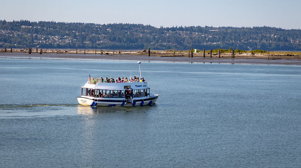 Jetty Island, Everett WA