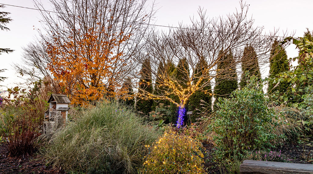 Evergreen Arboretum & Gardens